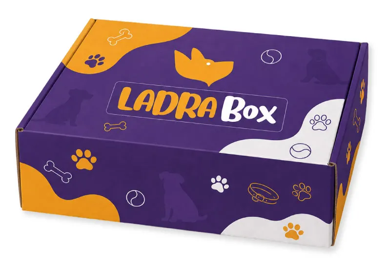 ladra box caja